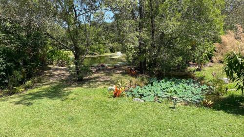 a garden with a pond with plants and trees at Private country 1 Bedroom Cabin in Landsborough