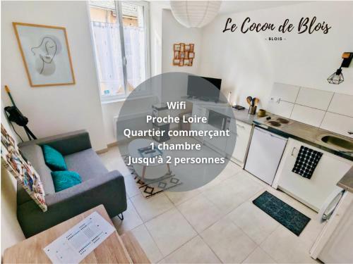 T1 bis, calme, centre-ville, le Cocon de Blois