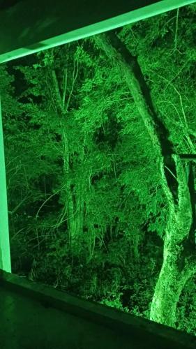 Gambar di galeri bagi Pousada CHÂTEAU LUMIÈRE di Itaara
