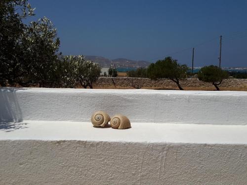 Gallery image of Wind Villas Pounda Paros in Pounda