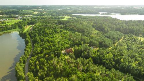 an aerial view of a forest and a river at Leśny Dworek Podjazy in Podjazy