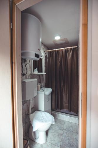 a bathroom with a toilet and a sink and a shower at Konak Dobri Potok in Krupanj