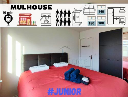 #Junior - Mulhouse centre ville
