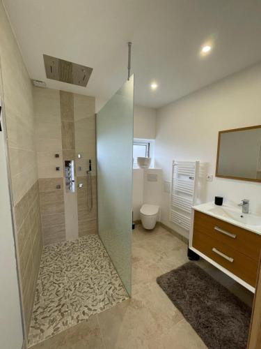 une salle de bain avec une douche, des toilettes et un lavabo dans l'établissement Appartement calme et chaleureux, à Saint-Germain-du-Bois