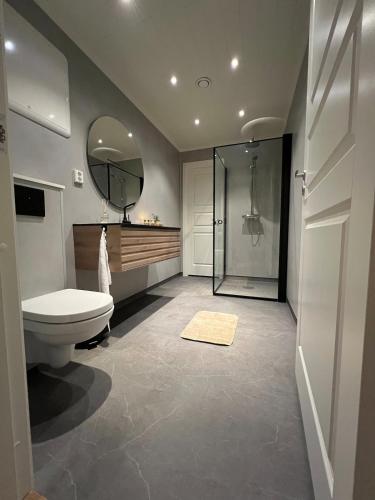 a bathroom with a shower and a toilet and a mirror at Bella Karnes in Oksevik
