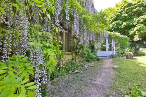 une maison couverte de glycines sur son côté dans l'établissement Gîte au Manoir des Sens - Escapade insolite aux parfums et couleurs d Asie, à Bergheim