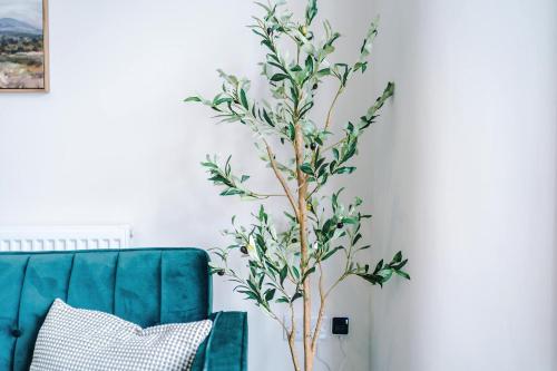 a tree in a living room next to a blue couch at Spacious & Modern House in Crewe by 53 Degrees Property, Ideal for Long Term, Sleeps 8! in Crewe
