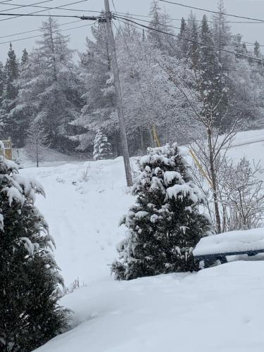 Hillside View en invierno