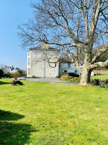 a tree in a field with a building in the background at Rooms At Greystoke in Criccieth