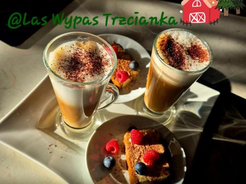 two drinks and a plate of food on a tray at Noclegi "LAS WYPAS" Trzcianka in Trzcianka
