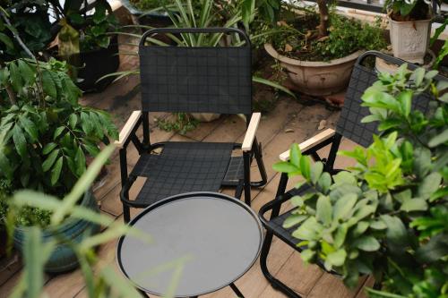 Сад в Charming A Little Saigon Apartment - Heart of Vibrant District 1