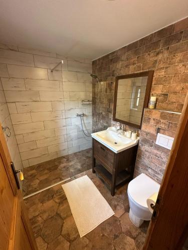 a bathroom with a sink and a toilet and a mirror at Pension Tereza & Šumavské Roubenky in Sušice