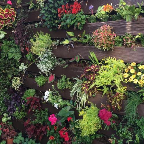 Jardín al aire libre en Charmant studio avec piscine à Le Port de 20 m²