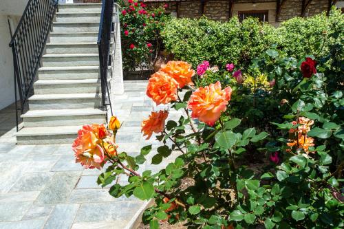 a bunch of flowers in a garden next to a staircase at Zmas Studios in Chorto