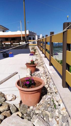 Gallery image of Villa Uria monolocali con e senza angolo cottura in Ischitella