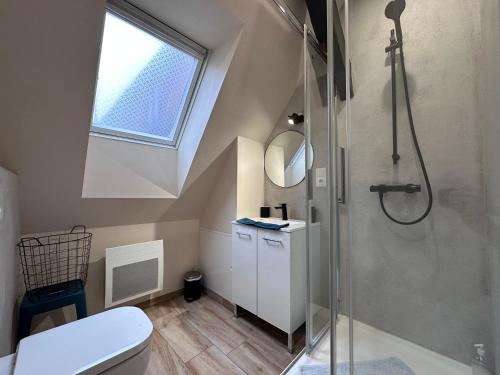a bathroom with a shower and a toilet and a window at B'm Gretel - Duplex 4 pers - Vue Cathédrale - Centre Historique in Colmar