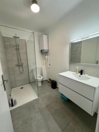 une salle de bain avec une douche, un lavabo et des toilettes dans l'établissement Bilocale con Ampia Terrazza, à Menton