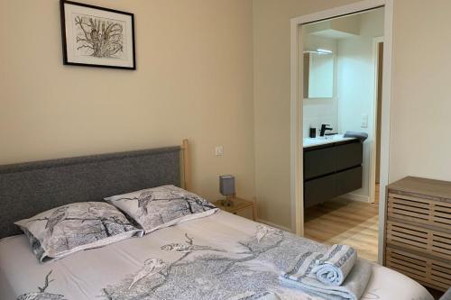 - une chambre avec un lit, un lavabo et un miroir dans l'établissement Ô ma belle demeure - Parking Privé, à Aix-les-Bains