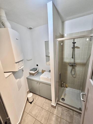 a bathroom with a shower and a sink and a toilet at Résidence Marianne 2 in Brussels