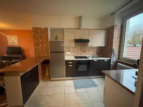 a kitchen with a refrigerator and a stove top oven at 1er etage entier, 2 Appartements, 10 Pers in Delle