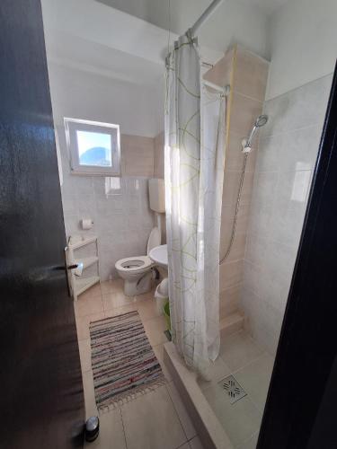 a bathroom with a shower and a toilet at Apartments Dalmatin in Žuljana