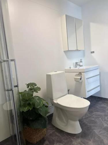 a bathroom with a white toilet and a plant at Bollnäs bed and breakfast in Bollnäs