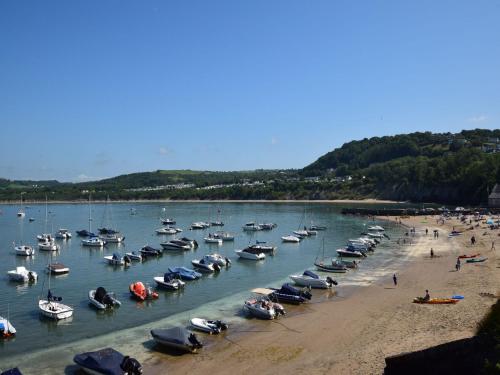 a bunch of boats in the water on a beach at 3 Bed in New Quay 83998 in New Quay