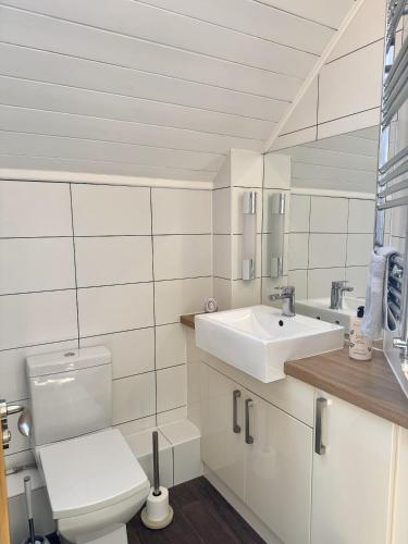サウス・サーニーにあるGrange Lodgeのトイレと洗面台を備えた白いバスルーム