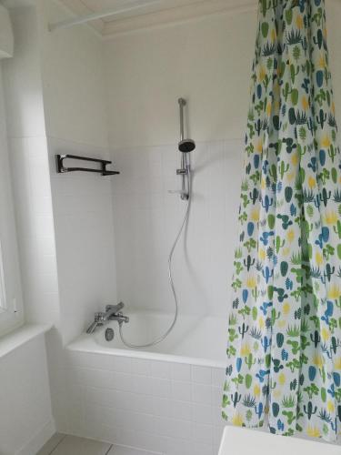 La salle de bains est pourvue d'un rideau de douche et d'une baignoire. dans l'établissement La Marine, à Cancale