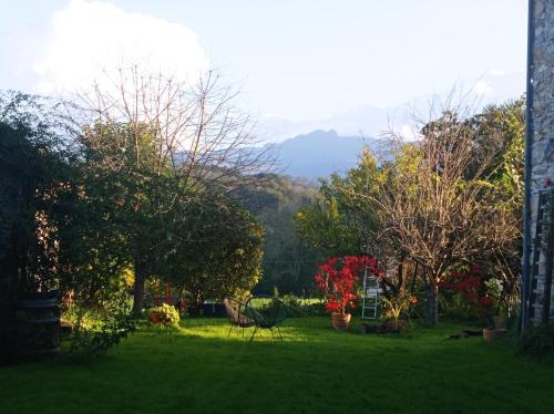 a green yard with trees and a chair in the grass at Chez Olive et Garance in Couret