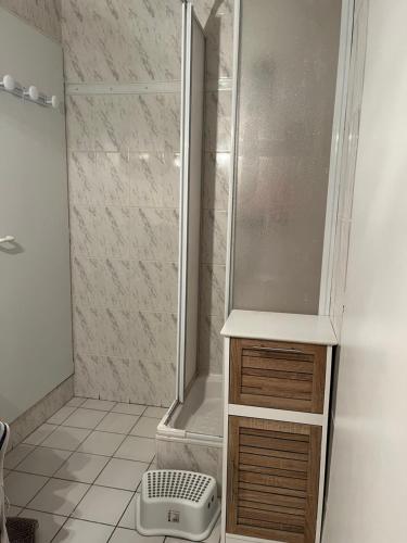 une salle de bain avec douche et toilettes dans l'établissement Charmant duplex en plein centre de Cauterets de 4 à 6 couchages et 2 chambres dont une sous-toit, à Cauterets