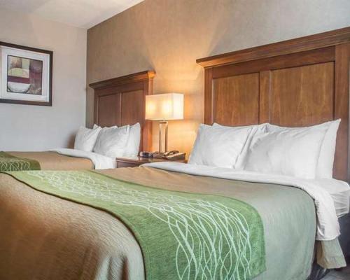 Katil atau katil-katil dalam bilik di Port Hope Inn & Suites