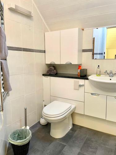 a bathroom with a white toilet and a sink at Medway Hot Tub Lodge in South Cerney