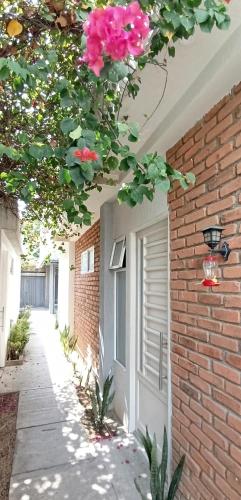 a tree with pink flowers hanging over a house at Alojamientos ejecutivos y modernos en condominio privado in Aguachica