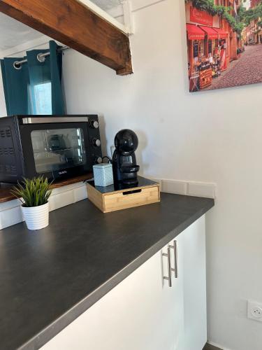 Il comprend une cuisine équipée d'un four micro-ondes et une télévision. dans l'établissement Nid douillet sous les toits, à Grasse