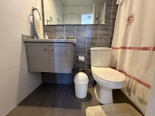 イキケにあるHermoso departamento en Playa Brava IQQの白いトイレと洗面台のあるバスルーム