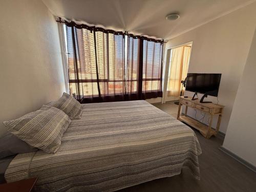 イキケにあるHermoso departamento en Playa Brava IQQの大きなベッドとテレビのある寝室