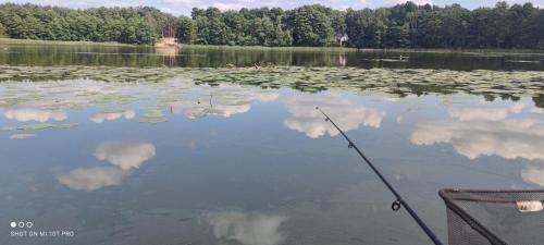 a lake with a fishing rod and clouds in the water at Żurawisko - Domki wśród natury in Jesiona