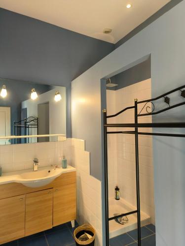 une salle de bain avec un lavabo, un miroir et une douche dans l'établissement La villa des figuiers, à Saint-Bonnet-du-Gard