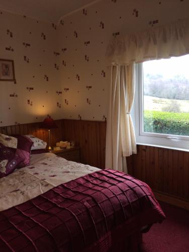 a bedroom with a bed and a window at Rhiwiau Guesthouse in Llanfairfechan