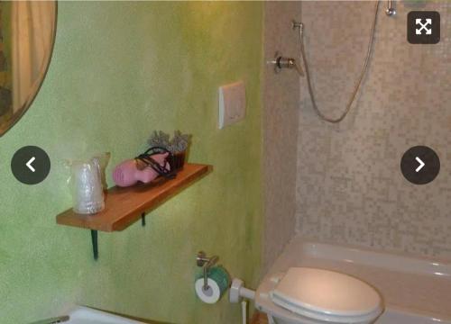 Un baño con ducha, inodoro y bañera. en Holiday House Sant'Annunziata, en Monte Rubiaglio