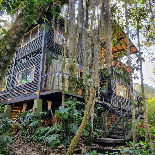 a tree house in the middle of the forest at Mágica Cabaña con jacuzzi en Santa Elena in Santa Elena