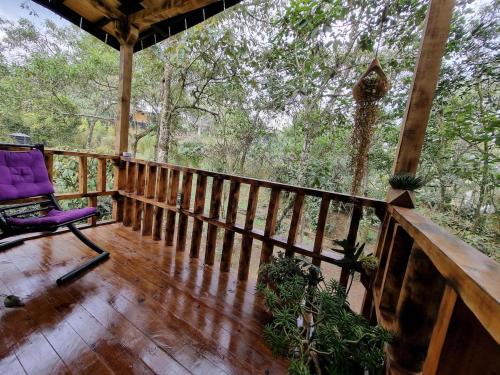 a porch with a purple chair on a wooden deck at Mágica Cabaña con jacuzzi en Santa Elena in Santa Elena