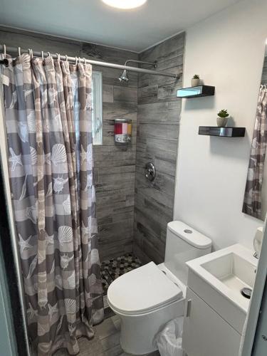 a bathroom with a toilet and a shower at Mami Ana Beach House, The Oceanfront Rest Hideaway ! in Ceiba