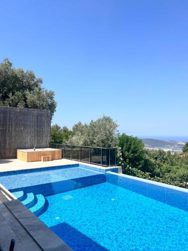 Πισίνα στο ή κοντά στο Villa Defnem