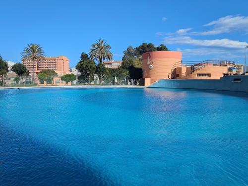 Seaview Heights Suite in Roses