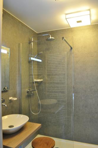 a bathroom with a shower and a sink at Les Terrasses de l'Our in Paliseul