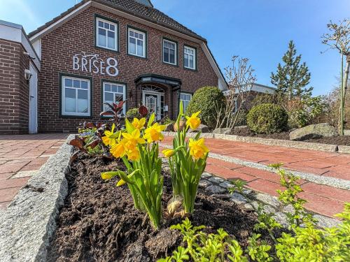 a flower bed in front of a brick building at Brise8 - Greetsiel in Krummhörn