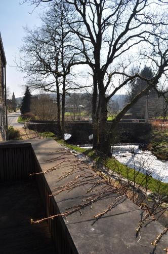 a sidewalk with a tree next to a river at Les Terrasses de l'Our in Paliseul