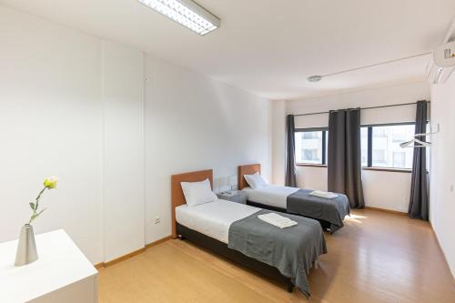 Oporto Spacious apartment
